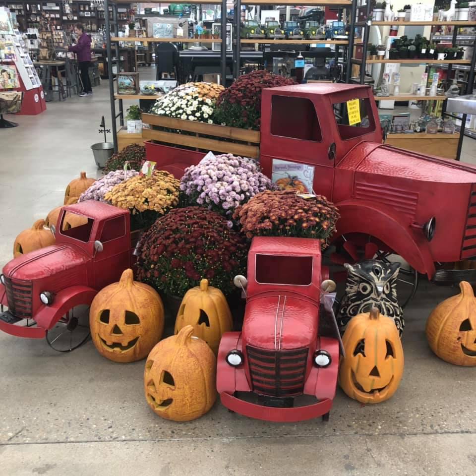 Ace Hardware Longmont Cylex Local Search