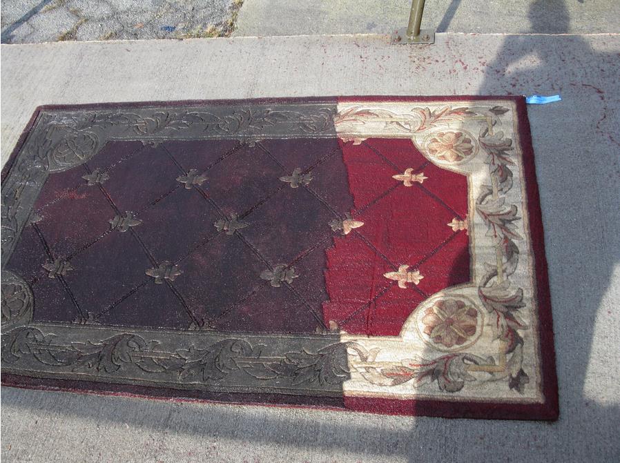 Superior Carpet & Rug Cleaning, Knoxville, TN Cylex Local Search