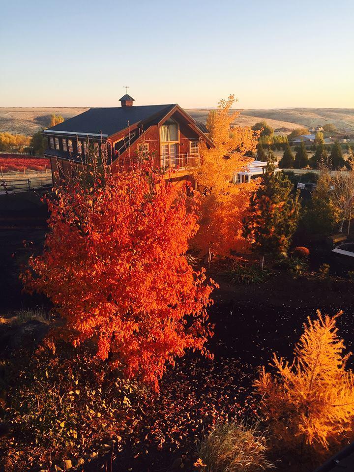 Mill Lane Winery Yakima Cylex Local Search