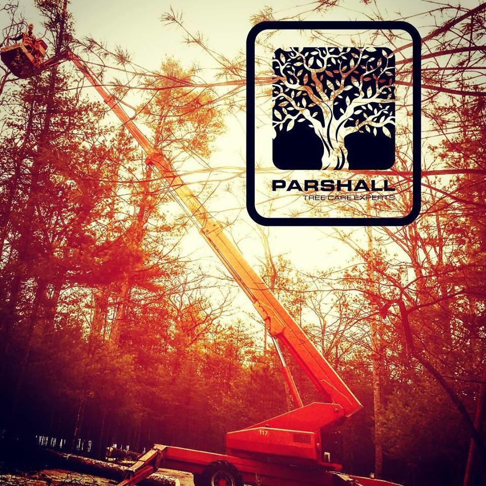 Parshall Tree Care Experts, Traverse City, MI Cylex