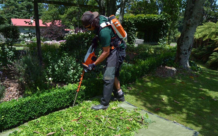 Tree Cutters LLC, Spring, TX Cylex Local Search