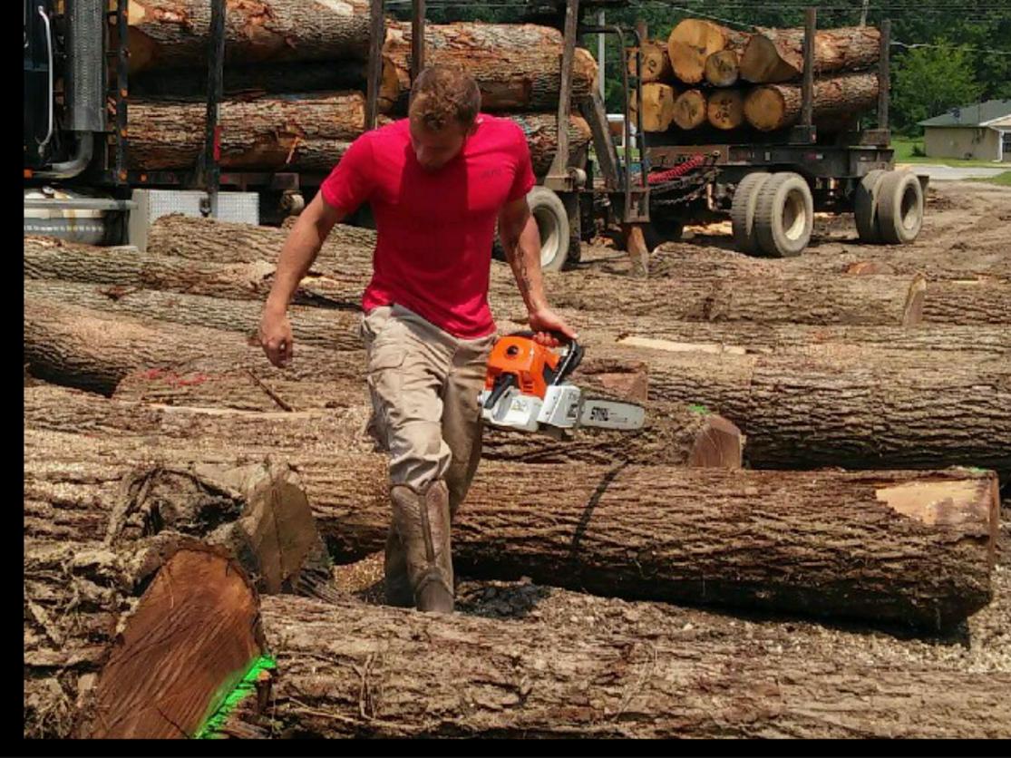 TimberWood Forestry, Amherst, OH Cylex Local Search