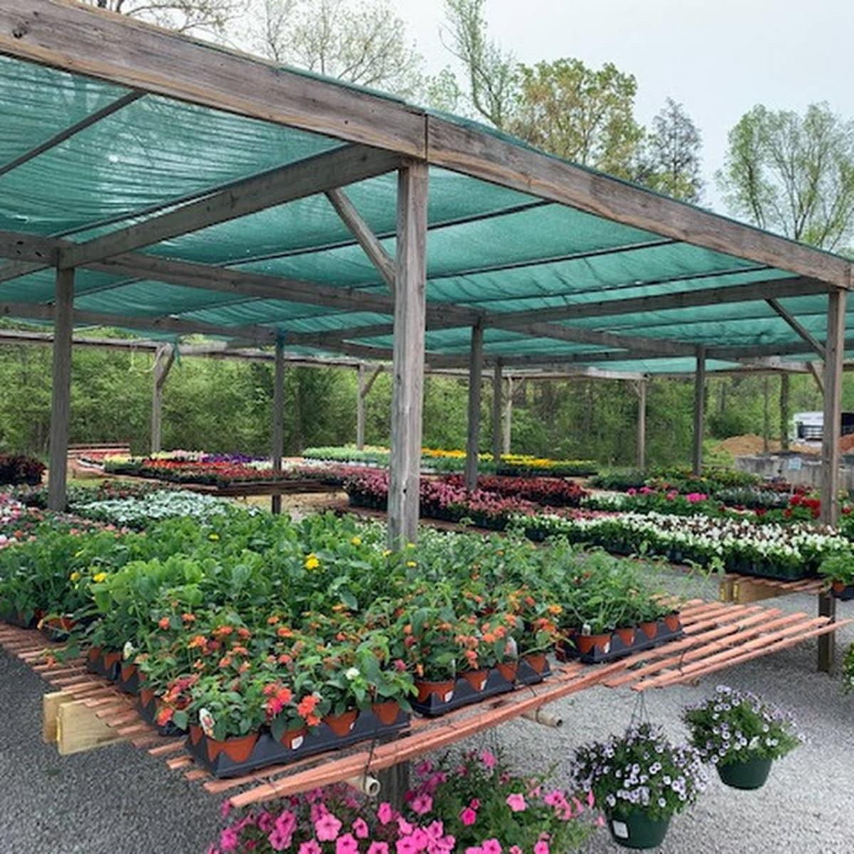 NorthShore Nursery, Lenoir City, TN Cylex Local Search