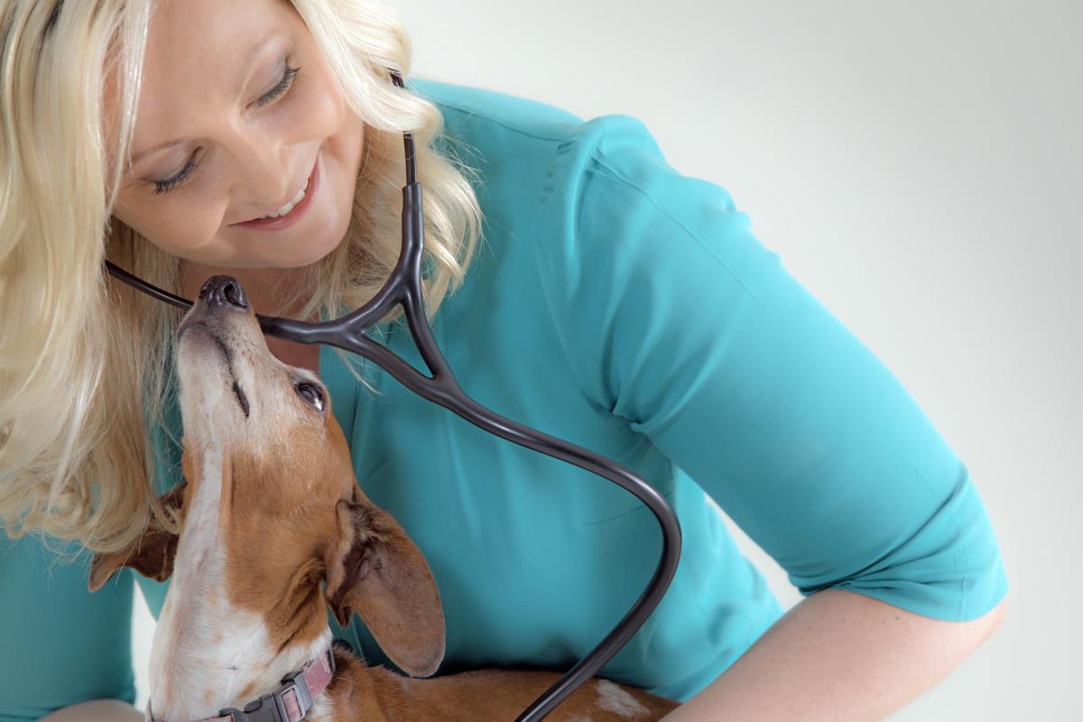 Bayou City Mobile Veterinary Specialists, Houston, TX Cylex Local Search