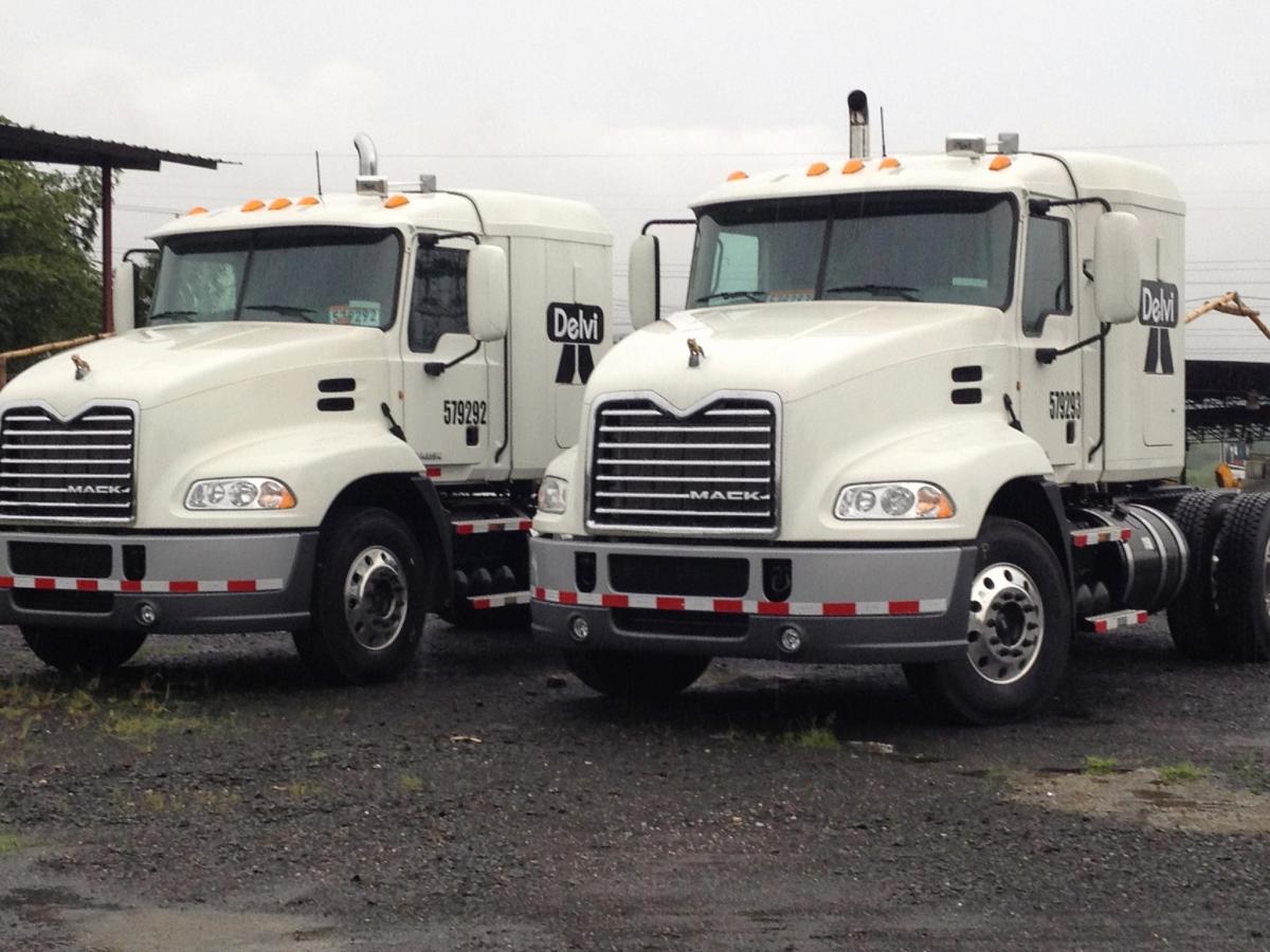 Delvi, Inc., Miami, FL Cylex Local Search