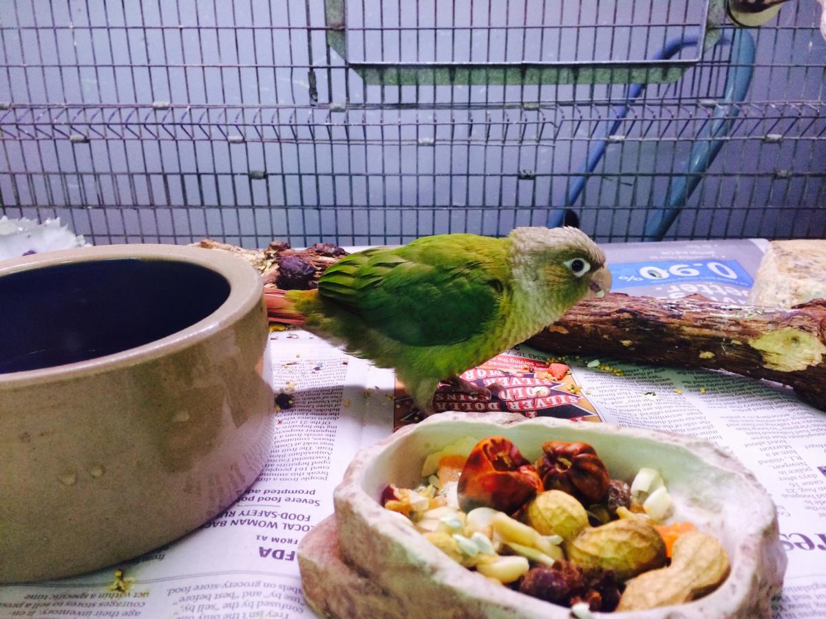 Sierra Fish & Pets, Renton, WA Cylex Local Search